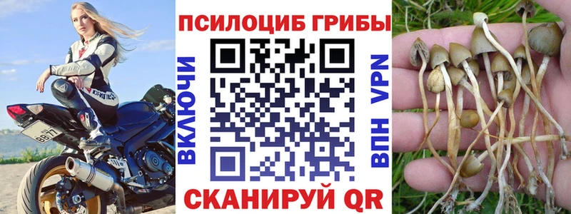 Псилоцибиновые грибы мухоморы  что такое наркотик  Беломорск 